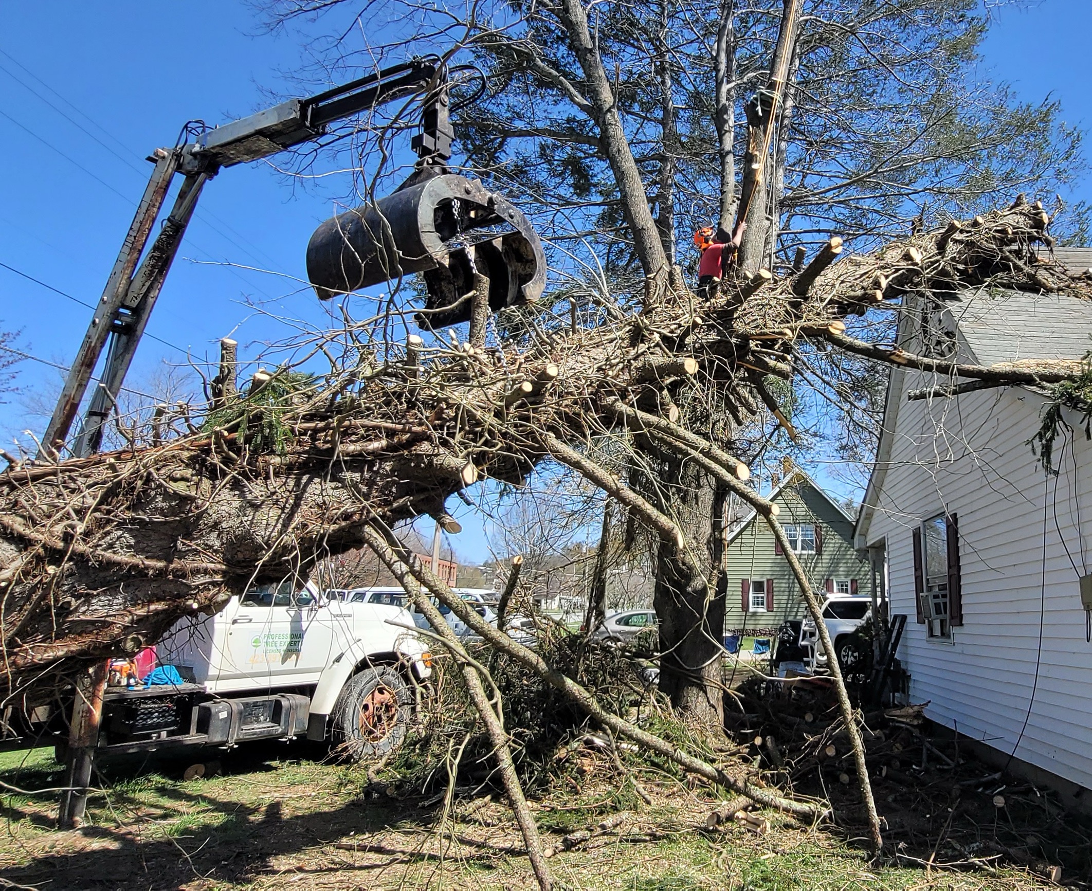 ISA Certified Arborist performing emergency tree removal near Johnson City TN in Unicoi.